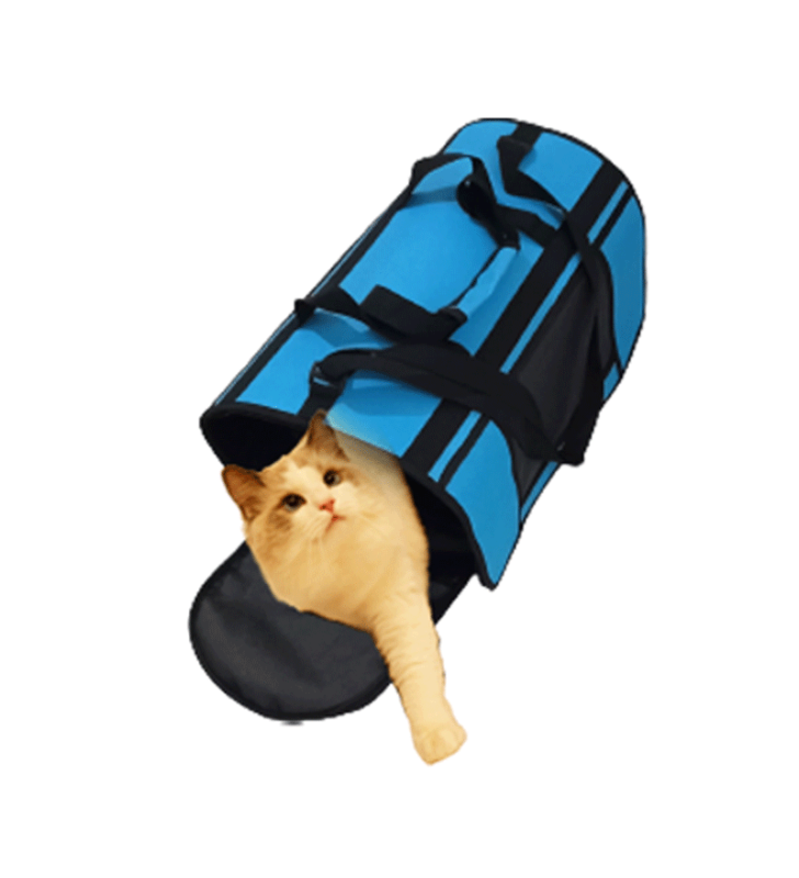 Sac de Transport Bleu Taille M Pour Chat Et Petit Chien