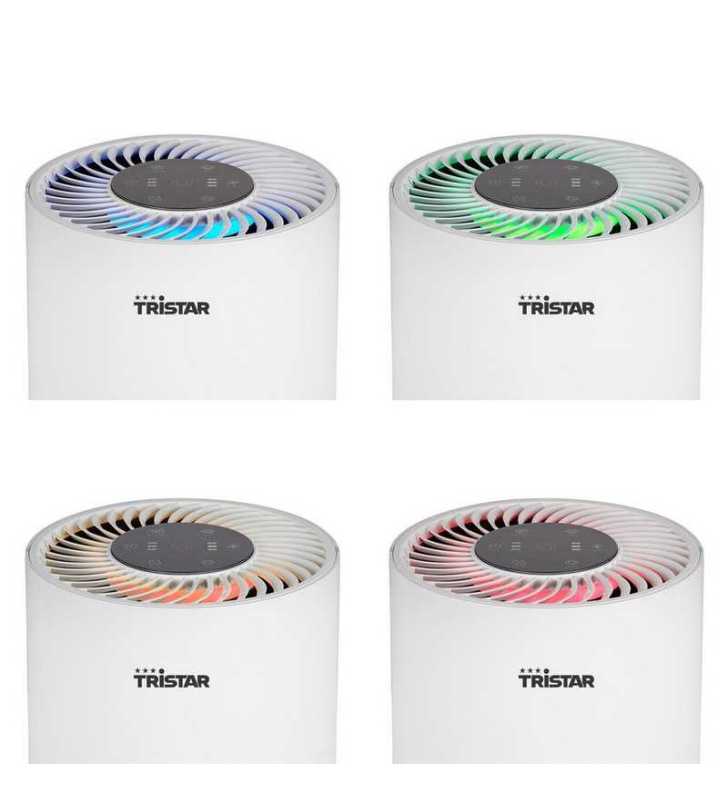 Filtre de remplacement pour AP-4787 - TRISTAR