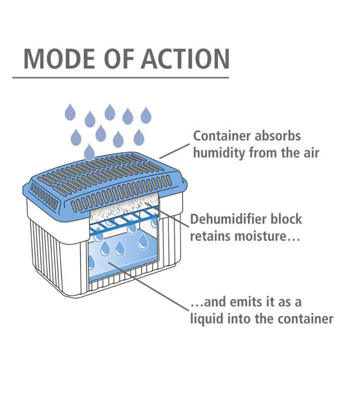 Absorbeur d'humidité Cube 1000g de granulé - WENKO