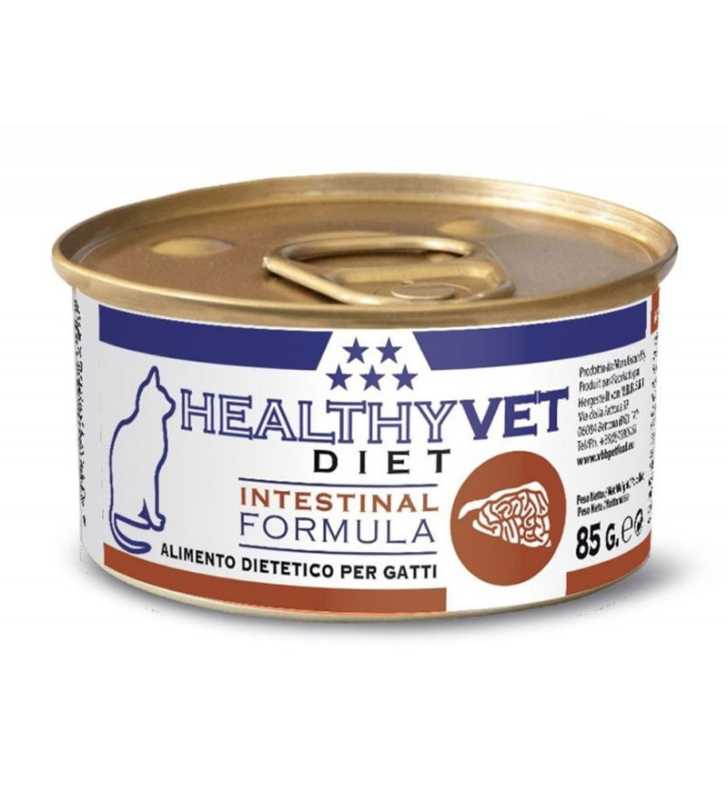 HEALTHY VET  INTESTINAL CAT 85 GR