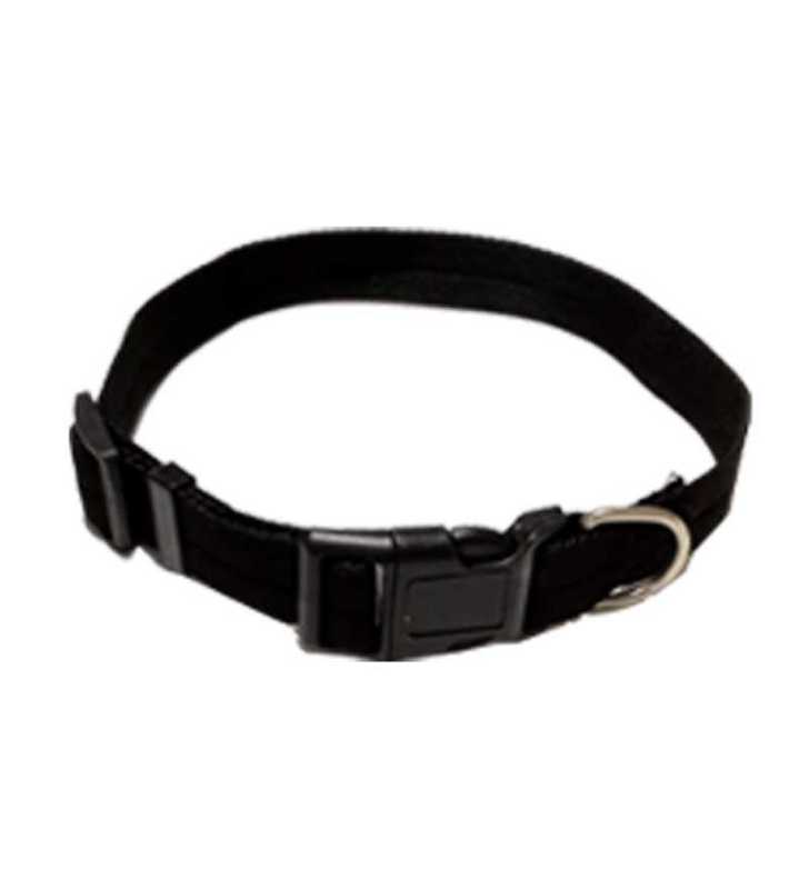 Collier En Nylon Pour Chien 25 cm