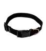 Collier En Nylon Pour Chien 25 cm