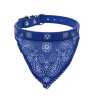 Collier Pour Petit Chien Style Foulard bleu Taille S