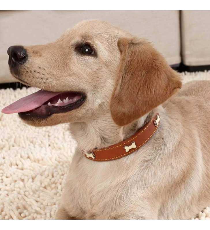 Collier Cuir Avec Motif Os Pour Chien 56 cm