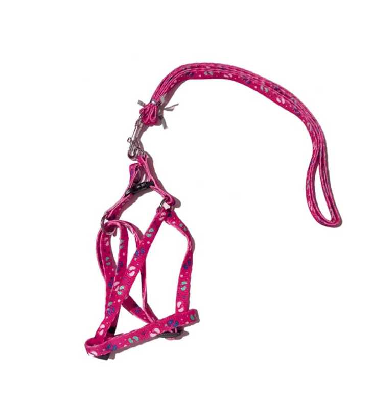 Harnais Et Laisse Rose fleurie Pour Chat S