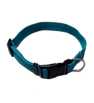 Collier En Nylon Pour Chien 25 cm Bleu ciel Collier En Nylon Pour Chien 25 cm Bleu ciel