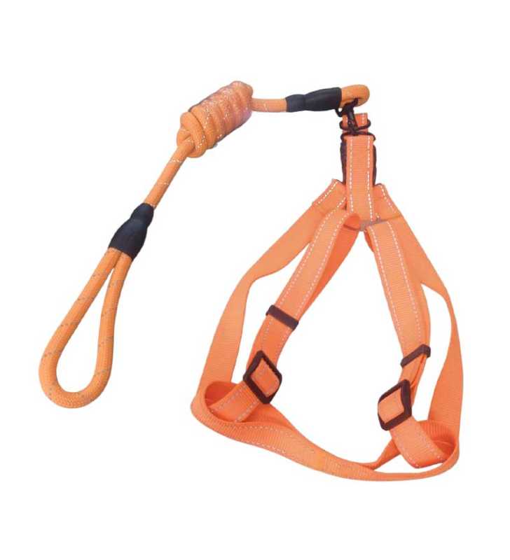 Laisse et Harnais en nylon Saumon taille L