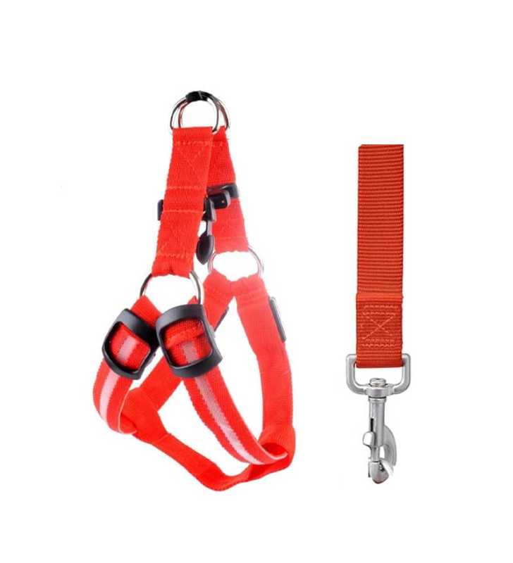 laisse et harnais fluo s laisse et harnais fluo s