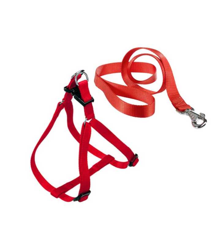 Laisse et Harnais en nylon rouge taille s Laisse et Harnais en nylon rouge taille s