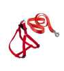 Laisse et Harnais en nylon rouge taille s Laisse et Harnais en nylon rouge taille s