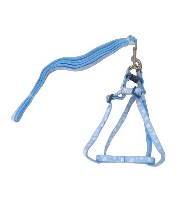 laisse et harnais bleu ciel en nylon taille s