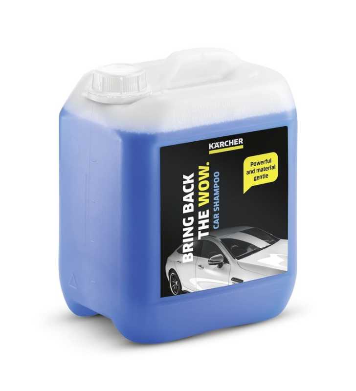 Shampoing Voitures Rm 619